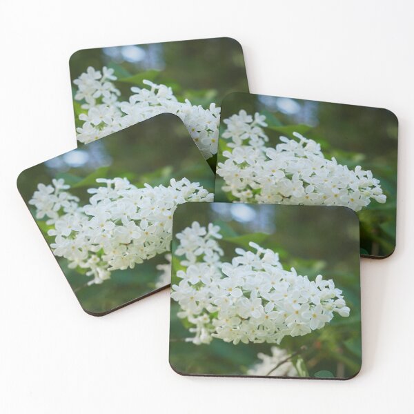 Item preview, Oh la la. White lilac designed and sold by Jouko Lehto Photography.