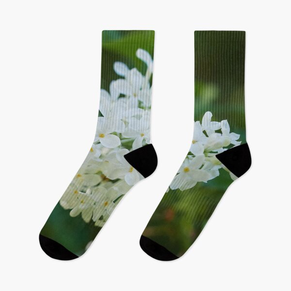 Item preview, Oh la la. White lilac designed and sold by Jouko Lehto Photography.