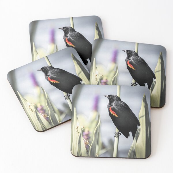 Item preview, Red Winged Blackbird and Delicate Pickerelweed designed and sold by Rebecca Herranen.
