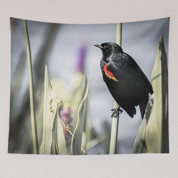 Item preview, Red Winged Blackbird and Delicate Pickerelweed designed and sold by Rebecca Herranen.