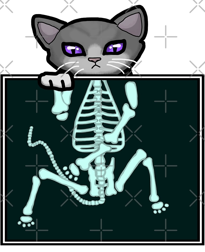 "Xray Cat" by FanForm Redbubble