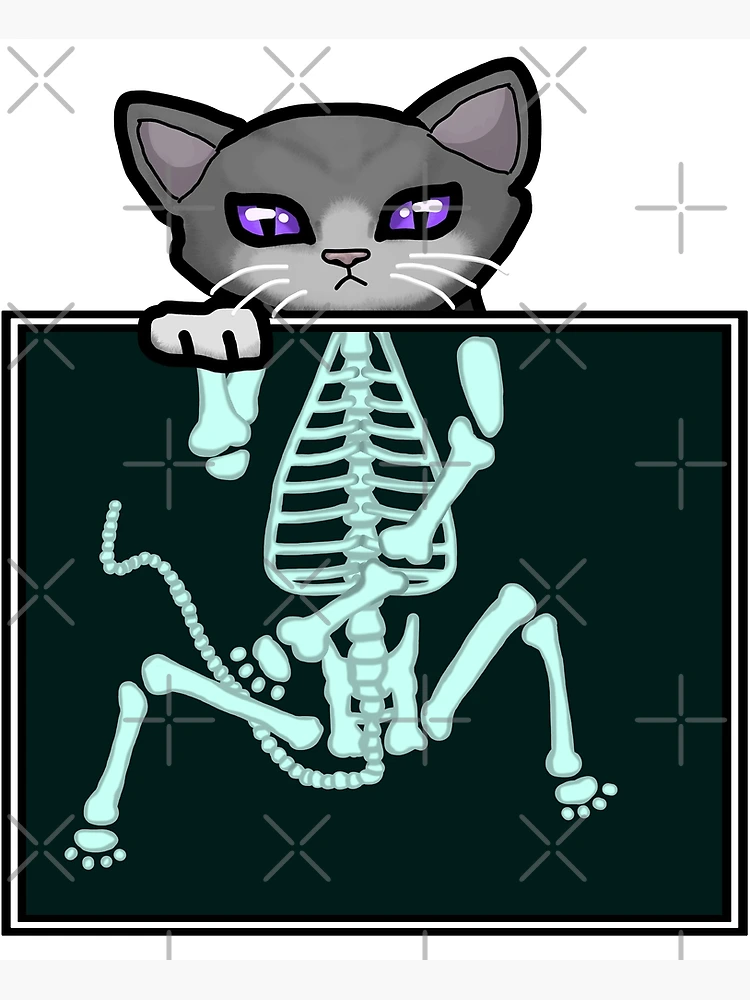 X-ray Cat X-ray Cat