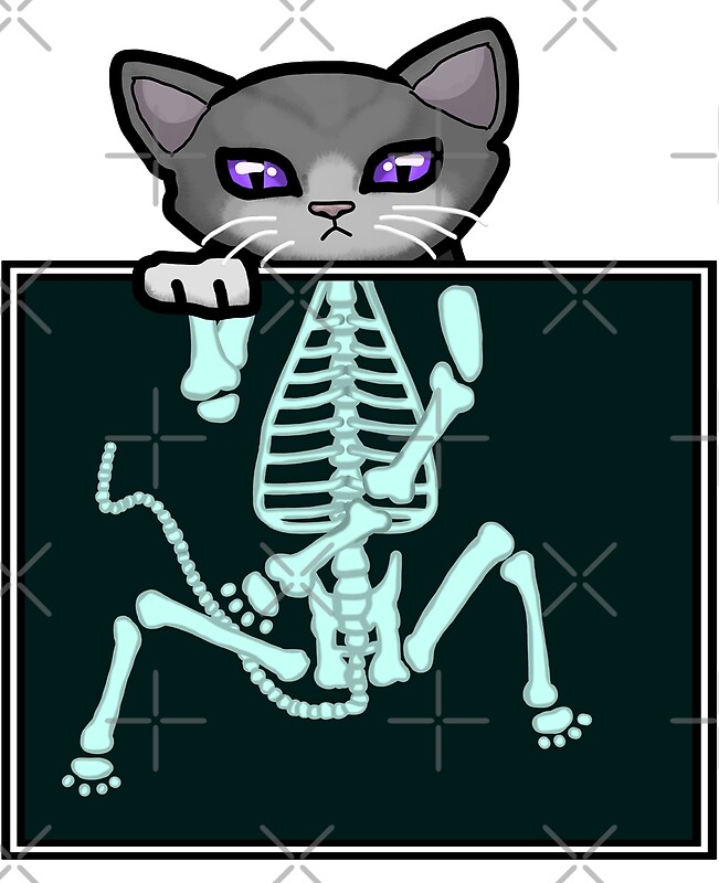 "Xray Cat" by FanForm Redbubble