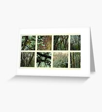 Alpine Rainforest Greeting Card