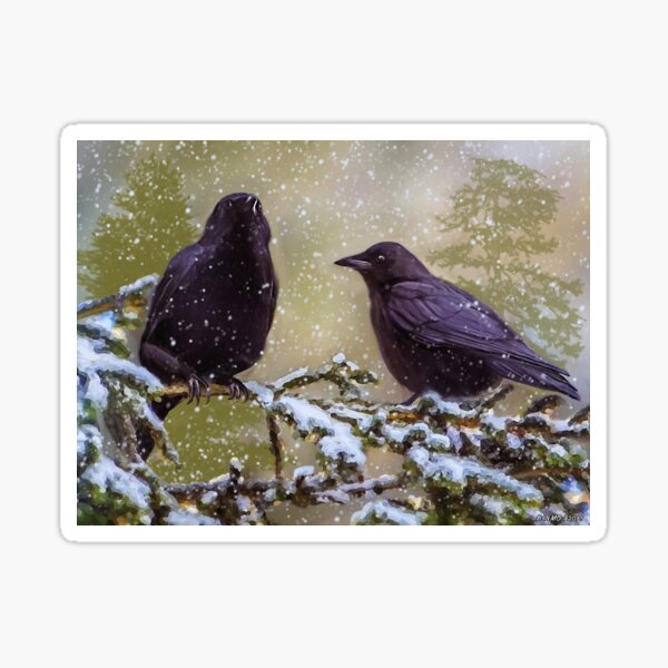 Winter Crows Sticker