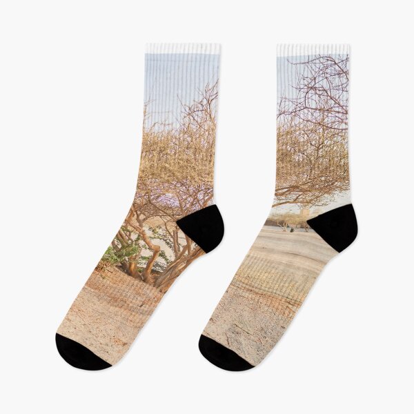 Item preview, tree in the desert designed and sold by IgorKovalenko.