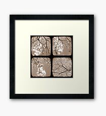 Look Through My Window - TTV Framed Print