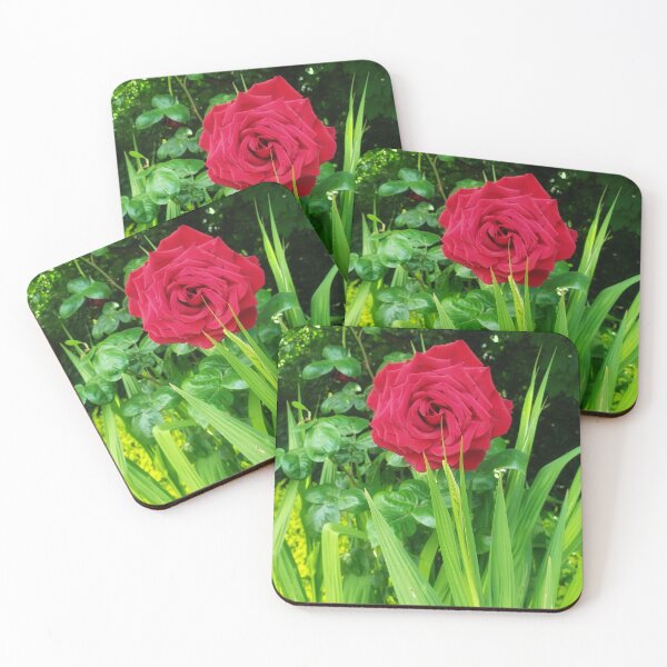 Item preview, A Single Rose! designed and sold by dawnsm.