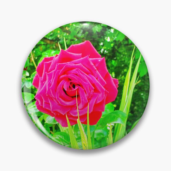 Item preview, A Single Rose II designed and sold by dawnsm.