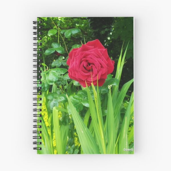 Item preview, A Single Rose! designed and sold by dawnsm.
