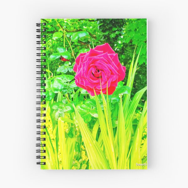 Item preview, A Single Rose II designed and sold by dawnsm.