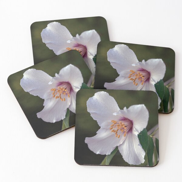 Item preview, Sweet Mock Orange designed and sold by Tom McPherson Photography.