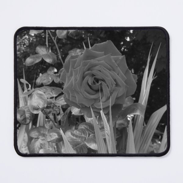 Item preview, A Single Rose III ! designed and sold by dawnsm.