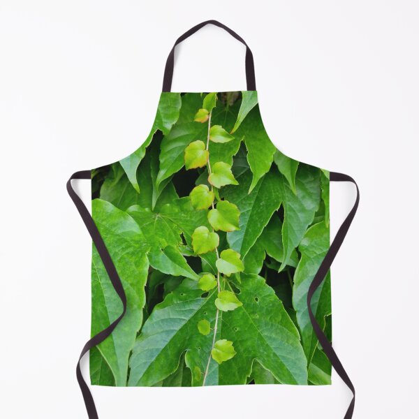 Item preview, Fresh Green Boston Ivy Leaves in Early Summer designed and sold by Gaboro.