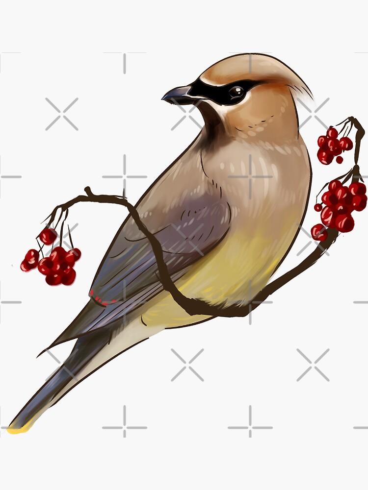 Thumbnail 3 of 3, Sticker, Cedar Waxwing designed and sold by seafrost.