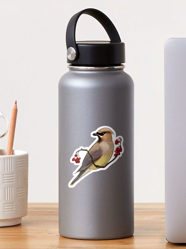 Thumbnail 1 of 3, Sticker, Cedar Waxwing designed and sold by seafrost.