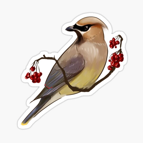 Item preview, Cedar Waxwing designed and sold by seafrost.
