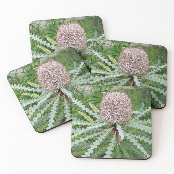 Item preview, Welsh Growing Banksia designed and sold by lezvee.
