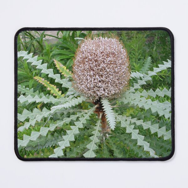 Item preview, Welsh Growing Banksia designed and sold by lezvee.