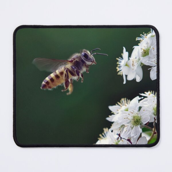 Item preview, Honey Bee in Flight designed and sold by Tom McPherson Photography.