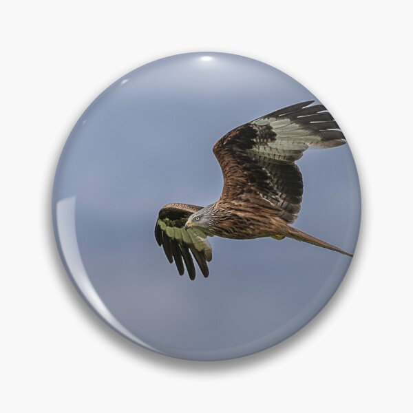 Item preview, Soaring  designed and sold by Flyal4.