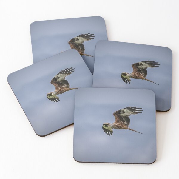 Item preview, Soaring  designed and sold by Flyal4.