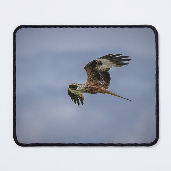 Item preview, Soaring designed and sold by Flyal4.