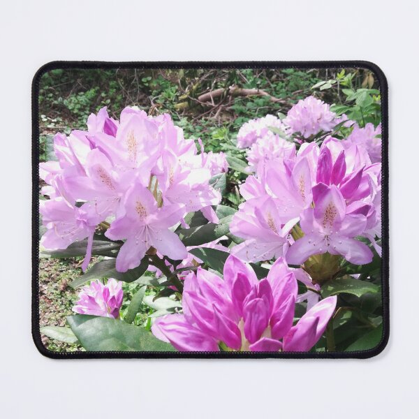 Item preview, Purple pink Rhododendron flowers photograph designed and sold by esvb.