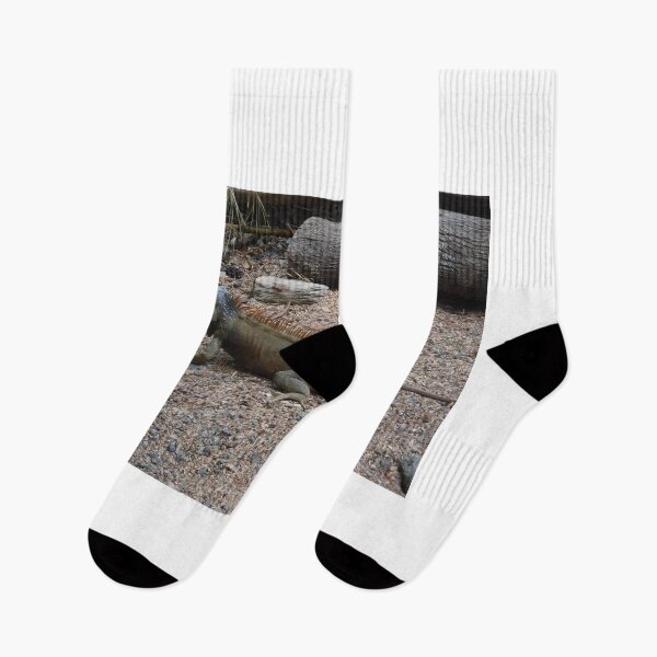 Item preview, Iguana designed and sold by GloriaGranat.