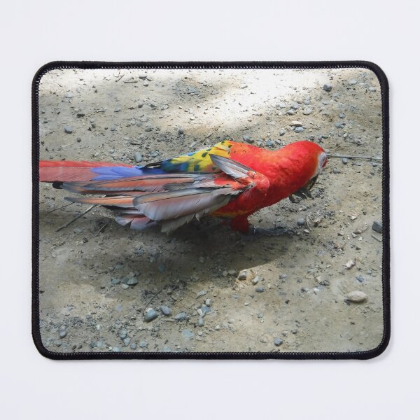 Item preview, Parrot designed and sold by GloriaGranat.