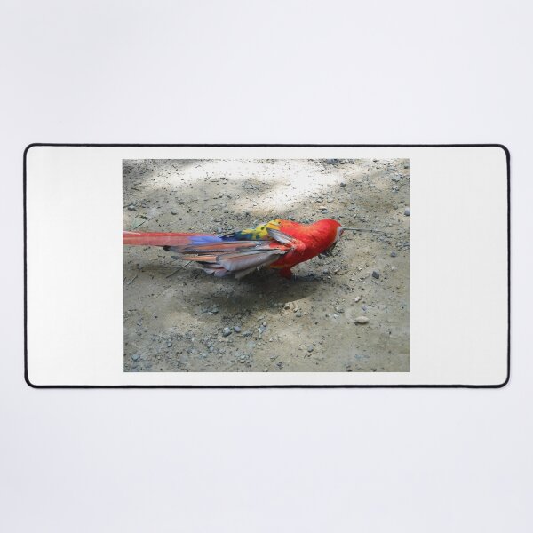 Item preview, Parrot designed and sold by GloriaGranat.
