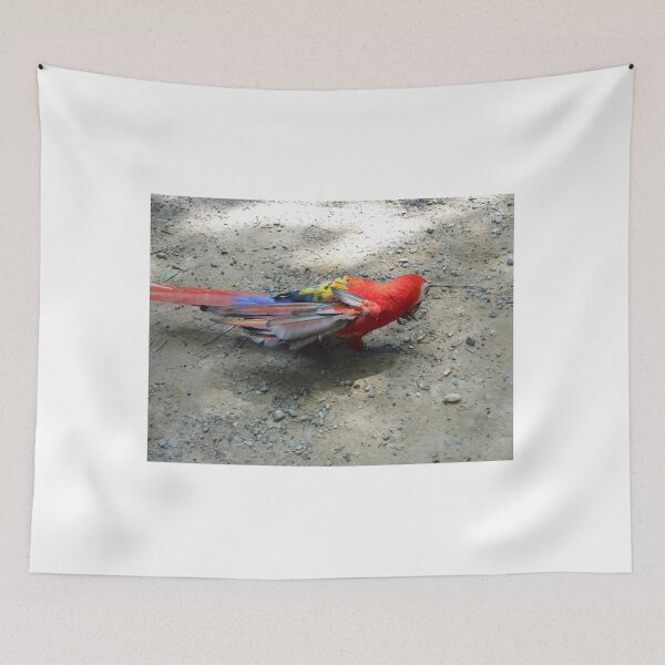 Item preview, Parrot designed and sold by GloriaGranat.