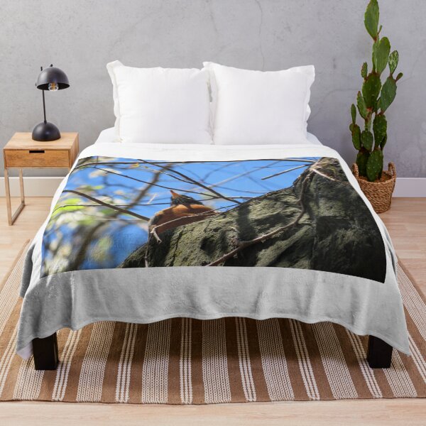 Item preview, Colorful Bird, Harsimus Branch Embankment, Jersey City, New Jersey designed and sold by lenspiro.