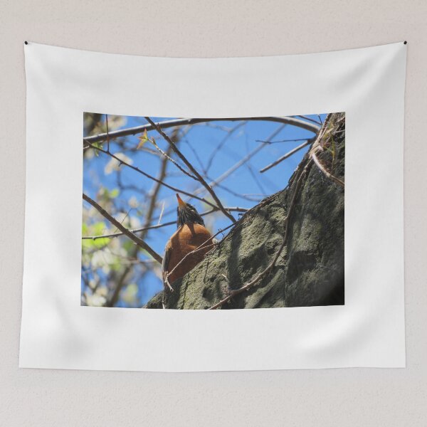 Item preview, Colorful Bird, Harsimus Branch Embankment, Jersey City, New Jersey designed and sold by lenspiro.