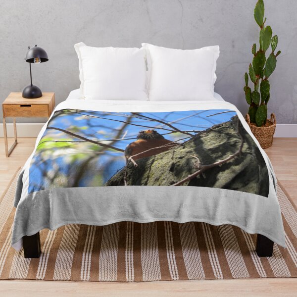 Item preview, Colorful Bird, Harsimus Branch Embankment, Jersey City, New Jersey designed and sold by lenspiro.