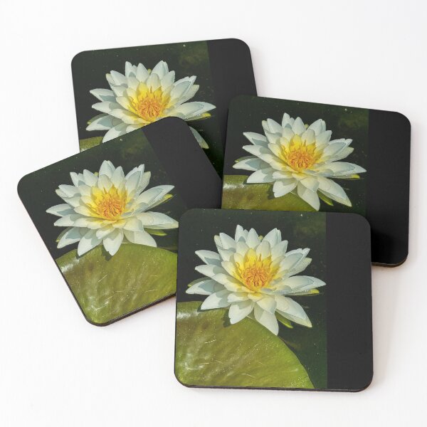 Item preview, Lily  designed and sold by bibiwildstudio.