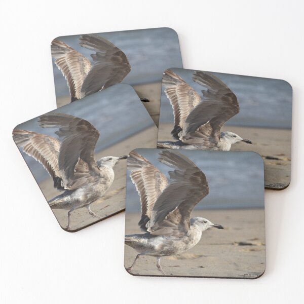 Item preview, Seagull designed and sold by Maureen Zaharie.