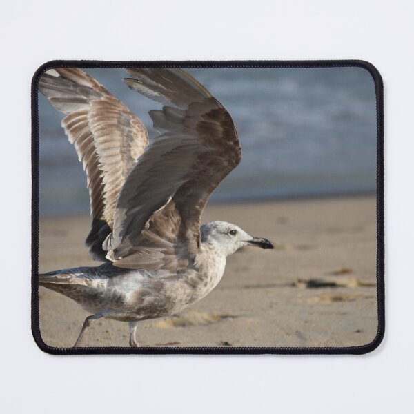 Item preview, Seagull designed and sold by Maureen Zaharie.