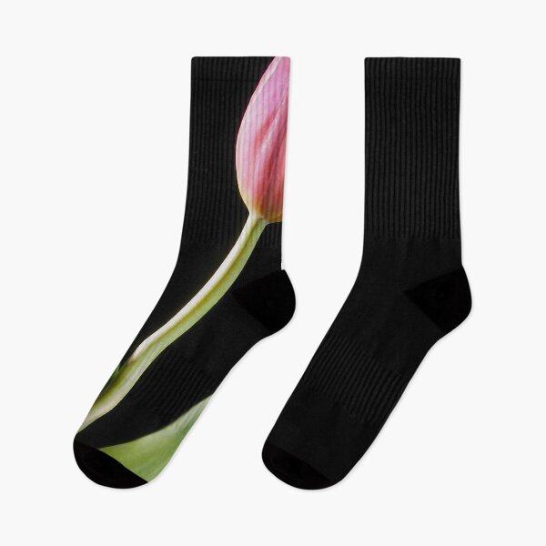 Artikelvorschau, Tulpenstillleben entworfen und verkauft von pcole123.