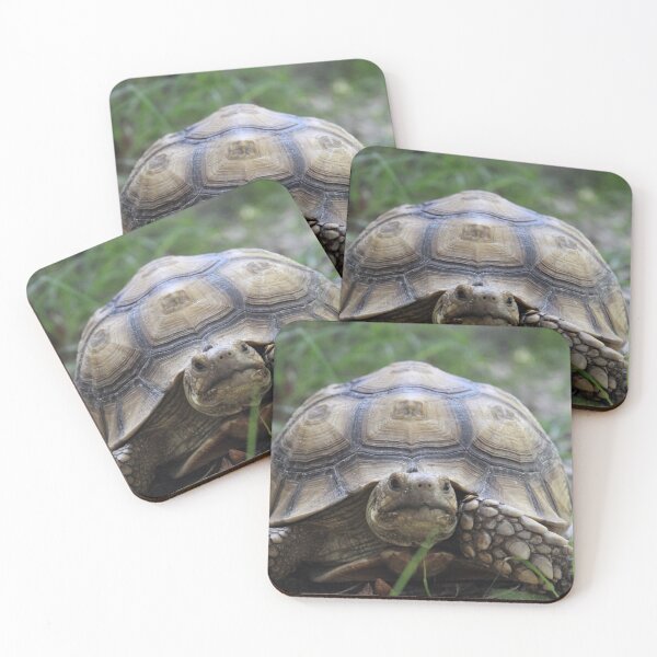 Item preview, Grazing Gopher Tortoise designed and sold by CLSArtistries.