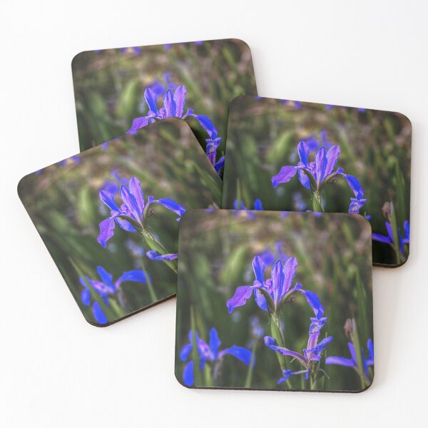 Item preview, Catching the Light. designed and sold by James Hoffman.