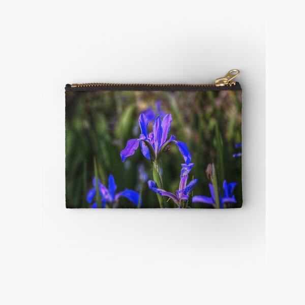 Item preview, Catching the Light. designed and sold by James Hoffman.