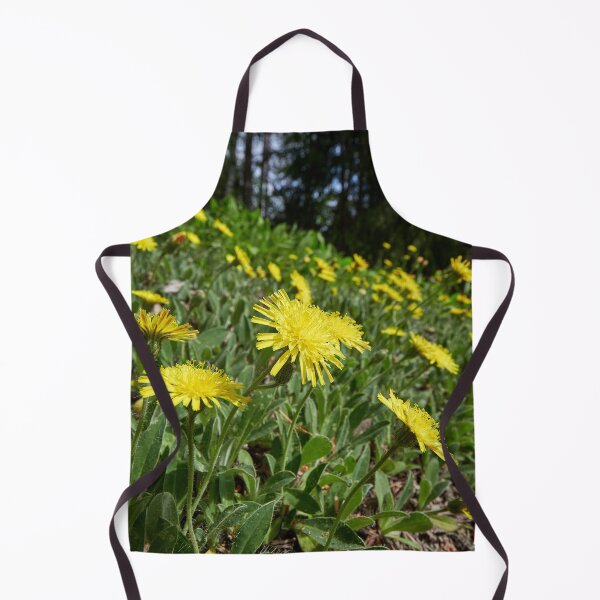 Item preview, Covered. Mouse-ear Hawkweeds designed and sold by Jouko Lehto Photography.