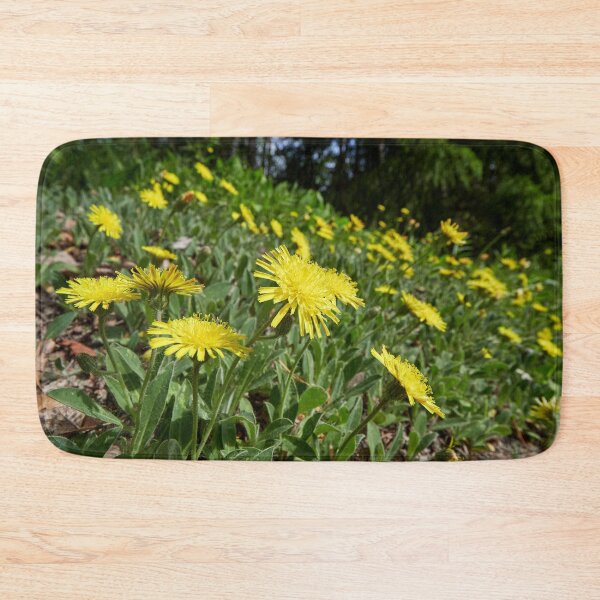Item preview, Covered. Mouse-ear Hawkweeds designed and sold by Jouko Lehto Photography.