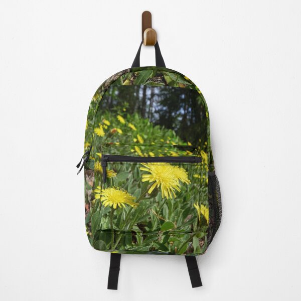 Item preview, Covered. Mouse-ear Hawkweeds designed and sold by Jouko Lehto Photography.