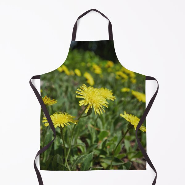 Item preview, Shine and smile. Mouse-ear Hawkweeds designed and sold by Jouko Lehto Photography.