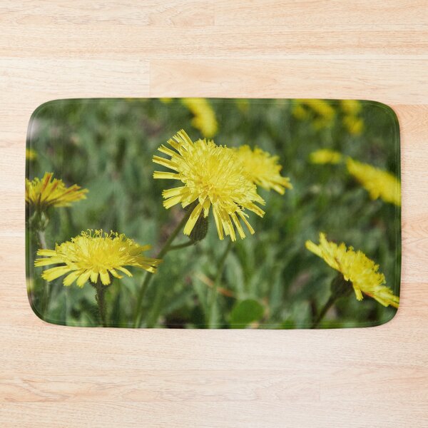 Item preview, Shine and smile. Mouse-ear Hawkweeds designed and sold by Jouko Lehto Photography.