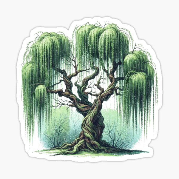 Item preview, Willow tree, pine tree weeping designed and sold by francous03.