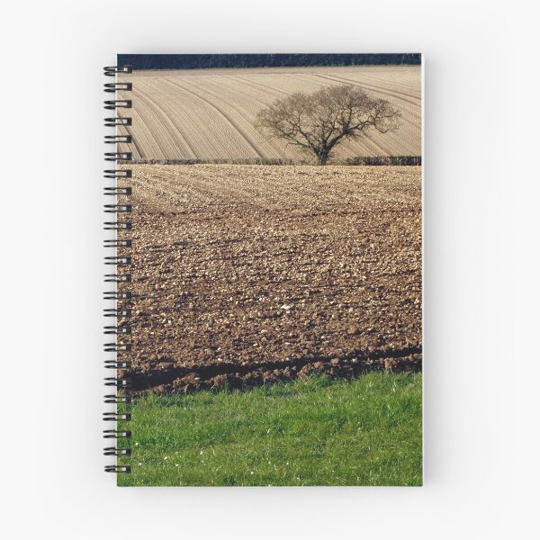 Item preview, Lone Tree in Ploughed Field. designed and sold by Billlee.