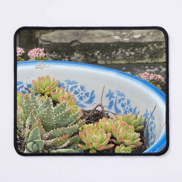Item preview, Dish of Delight designed and sold by KazM.